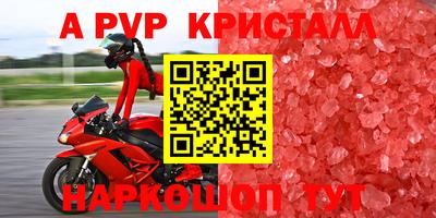 стафф Краснознаменск