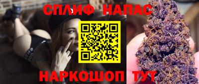 стафф Краснознаменск