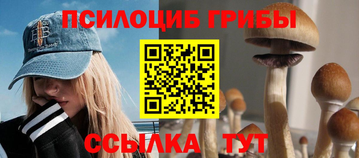 Псилоцибиновые грибы мухоморы Уссурийск